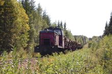 우딤스카야 협궤 철도