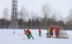 아르한겔스크주 주니어 밴디 선수권 대회