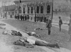 제2차 세계 대전 중 헝가리군에 의해 학살된 세르비아인과 유대인 민간인의 시신