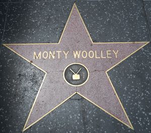 할리우드 명예의 거리에 있는 몬티 울리의 별. 텔레비전 엠블럼이 표시되어 있지만, 공식 부문은 "영화"이다.