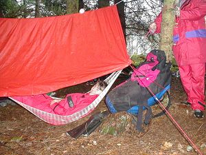 타프로 만든 쉼터