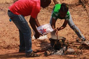 보츠와나에서 우갈리(사자, sadza)를 요리하는 사람들(돔보샤바 문화 축제 2017)