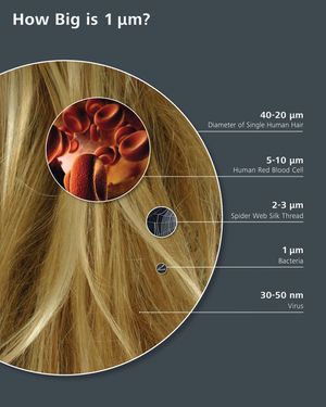 1 마이크로미터의 크기는?