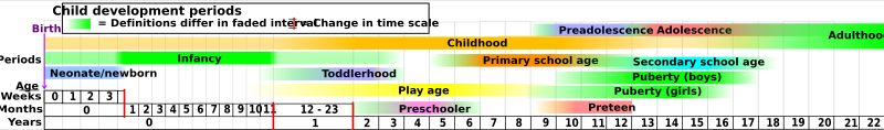 아동 발달 및 초기 성인 발달의 대략적인 발달 기간 개요. 청소년기는 오른쪽 상단에 빨간색으로 표시된다.