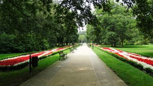 스비노우이시치의 파르크 즈드로조비