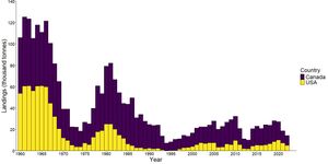 1960년부터 2022년까지 서대서양의 해덕 어획량