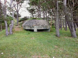 고틀란드 주 브루스보 근처에 위치한 제2차 세계 대전 시대의 벙커