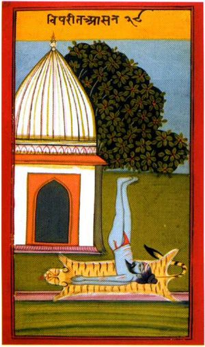 다양한 요가 무드라는 신체의 여러 부분을 포함하며, 일반적으로 프라나의 생명 에너지를 유지하기 위해 다양한 절차를 거친다. 비파리타 카라니에서는 중력이 빈두를 유지하도록 몸을 거꾸로 한다. 1830년의 요가 프라디피카 삽화