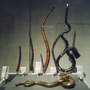 파리 필하모니의 시테 드 라 뮈지크에 전시된 16, 17세기 코르넷. 왼쪽부터 뒷줄: *코르네티노, 17세기 *알토 또는 고음 코르넷, 17세기 *코르노네, 테너 코르넷 또는 베이스 드 코르네 아 부캥, 17세기 *콘트라베이스 드 코르네 아 부캥 (베이스 코르넷), 16세기. 앞줄: *테너 코르넷, 17세기