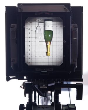 시나 F 카메라를 통해 보는 모습