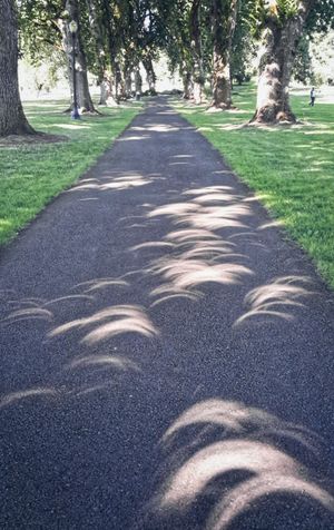 부분 일식의 복제 이미지