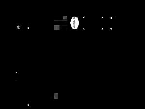 모네의 수련을 위한 타원형 방이 있는 2층 평면도와 컬렉션의 나머지를 위한 갤러리가 있는 1층 평면도