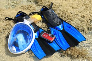 스노클링 장비: FFSM, 오리발 및 수중 카메라