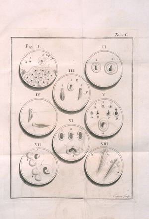 동식물 물리학 논문, 1780