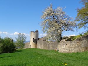 로마 도시 성벽과 동쪽 문