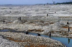 2011년 호탄 근처 백옥강에서 옥을 채취하는 모습