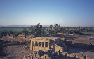 로마 시대의 맘미시