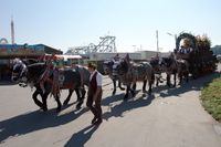 옥토버페스트의 맥주 수레(2006년)