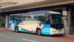 오이타 교통 에어라이너