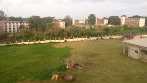 은남디 아지키웨 홀, 이바단 대학교