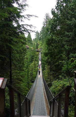 캐필라노 현수교