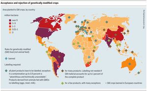 전 세계적으로 유전자 변형 식품의 적용.
