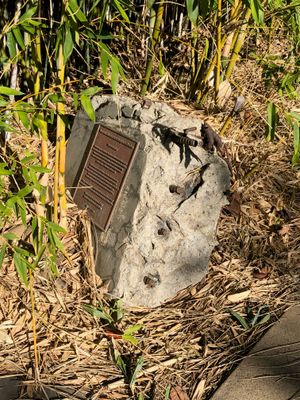 "지진은 땅의 이동이며, 자연, 건축 및 경제적 풍경에 영향을 미치는 자연의 힘이다"-Lauretta Wasserstein 조각 정원