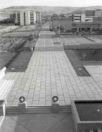 중동 공과대학교 캠퍼스는 브루탈리즘 건축의 한 예시이며, 베흐루즈 치니치가 설계했다.