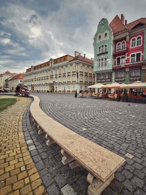 티미쇼아라 국립 미술관과 브뤼크 하우스, 함께 표시