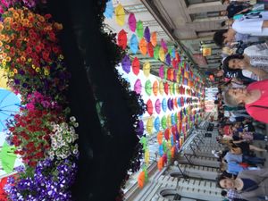 Timfloralis 기간 중 알바 율리아 거리