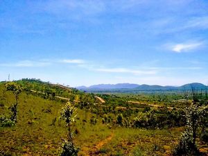 마스빙고 교외 지역 확장, 클립샴 하이츠