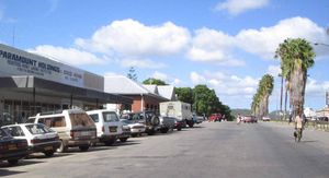 2005년의 마스빙고