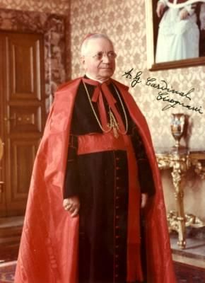 바오로 6세의 의중을 반영하여 논쟁의 양측 모두로부터 비판받은, 아멜레토 조반니 치코냐니 추기경의 1964년 9월 "중간 노선" 재초안