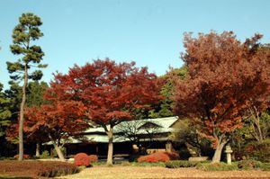 스와노-차야 다실