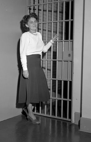 도로시 레이 힐리