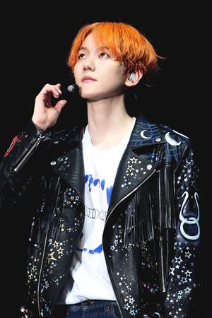 엑소 플래닛 5 - 익스플로레이션 콘서트에서 공연 중인 백현 (2019년 7월)