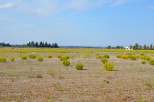 주거 지역의 잔해는 더 이상 보이지 않는다.