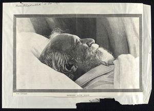 사망 후 브라우닝