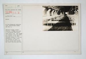 록펠러 전쟁 시범 병동의 사진.