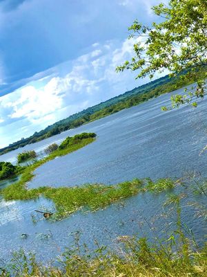 #Wiki Loves Africa in Namibia 2023#