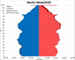 2020년 인구 피라미드
