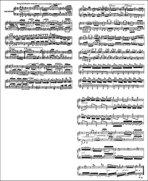 디아벨리 변주곡 33번