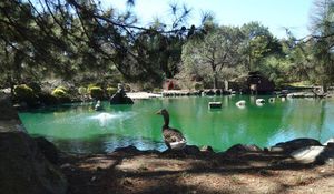 오번 식물원 호수 전경