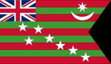 애니 베산트와 발 강가다르 틸락이 채택한 인도 자치 운동의 깃발.