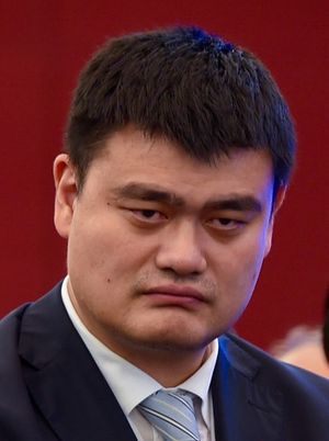 2016년 베이징에서 야오밍