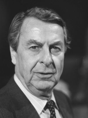 폰스 라데메이커스, 1986