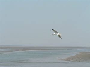 프리슬란트 북부 해안의 모습