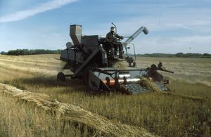 새스캐추언 주는 캐나다 제1의 곡창 지대이다.