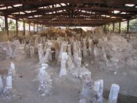 나무 다리의 말뚝