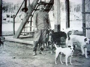 호세 플라시도 데 카스트로